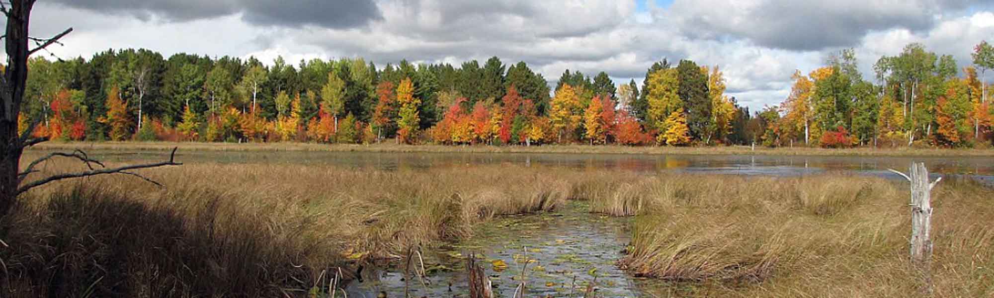 Protect Your Shoreline With An Itasca Waters Shoreland Advisor