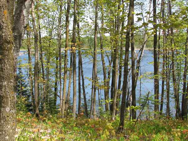 Itasca Waters - Septic Excavation